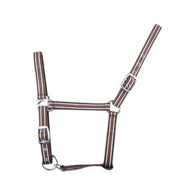 Licol avec mousqueton Marron/ Marron foncé Cheval