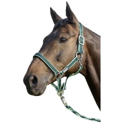 United sportproducts germany usg 3445 licol pour poney avec boucles argentées (vert gris)