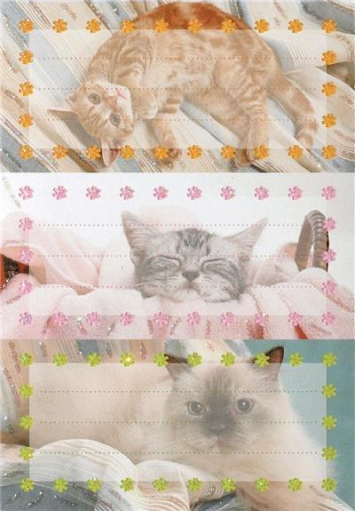 6 étiquettes scolaires Chats Herma