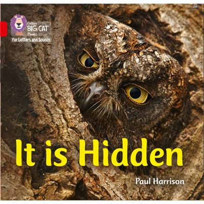 Big Cat Phonics It Is Hidden