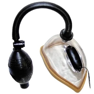 Pompe Sexe You 2 Toys Vagina Vibrating Sucker