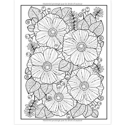 Livre de coloriage pour adultes Fleurs: Grands dessins faciles à colorier  pour les personnes âgées et les enfants | cahier de coloriage pour les