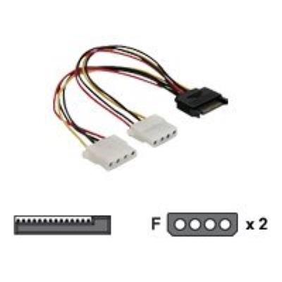 DeLOCK netspanningsadapter - 20 cm