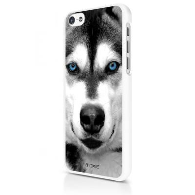 Coque Blue Eyes Collection Husky by Moxie pour iPhone 5C