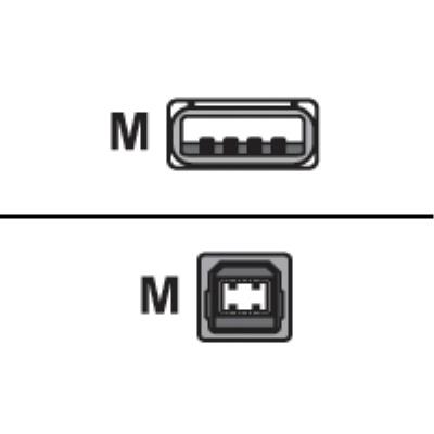Sharkoon - Câble Usb - Usb À 4 Broches, Type A (M) - Usb À 4 Broches, Type B (M) - 2 M ( Usb / Usb 2.0 ) - Noir
