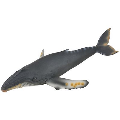 Figurines Collecta - Baleine à bosse