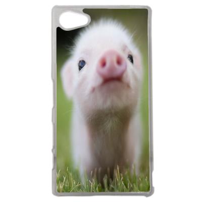 Coque Rigide Originale Humour Petit Cochon Mignon Sony Xperia Z5 Compact Etui Pour Telephone Mobile Achat Prix Fnac