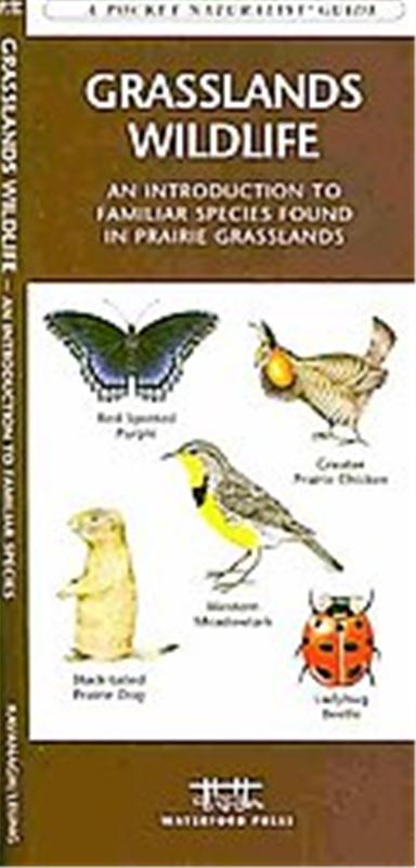 Grasslands Wildlife, A   pocket naturalist guide