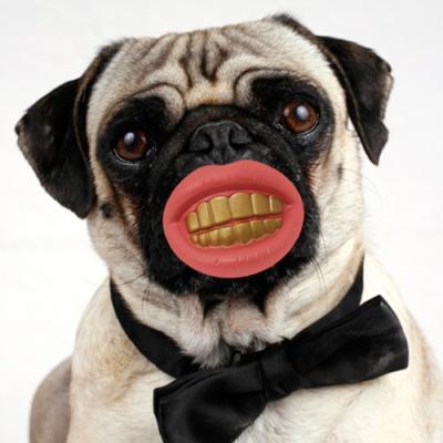 Balle pour Chien – dents en or