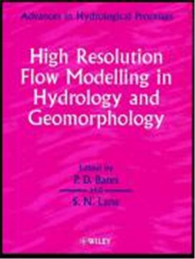 High Resolution Flow Modelling in Hydrology and Geomorphology