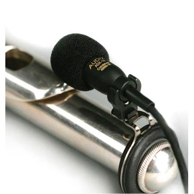 Audix Micro ADX10FLP