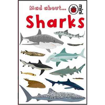 mad about sharks
