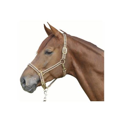 Licol avec mousqueton Beige/Marron foncé Cheval