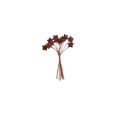 Bouquet De 12 Etoiles Chocolat