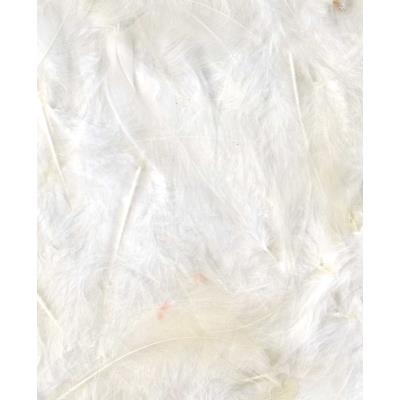 Plumes - Blanc - Sachet de 3 g - Ébouriffées - Lg 8 à 12 cm