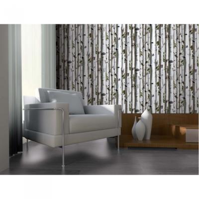 Papier Peint Design Forêt De Jeunes Bouleaux Couleur Gris Matière Papier