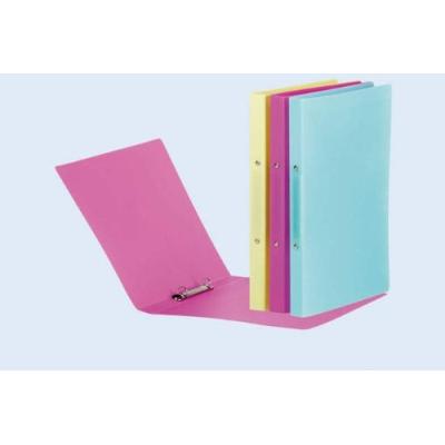 Pagna Ringbuch Trend Colours, 2-ring-mechanik, Hellblau 20901-13