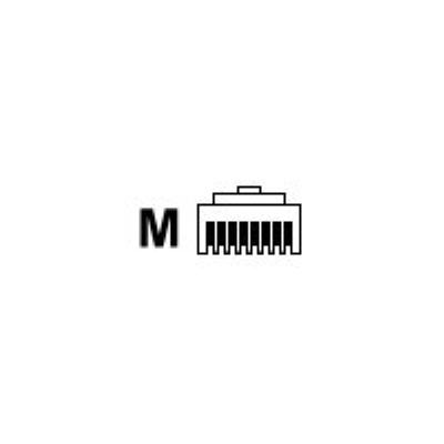 AXIS netwerkconnector