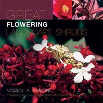 Great Flowering Landscape Shrubs