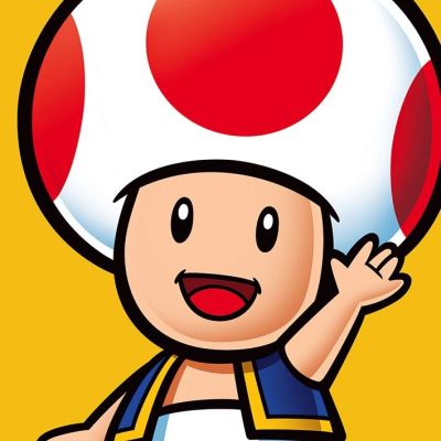Toile - Super Mario Toad 40x40