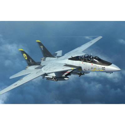 Maquette Avion Militaire : F-14D Tomcat Trumpeter