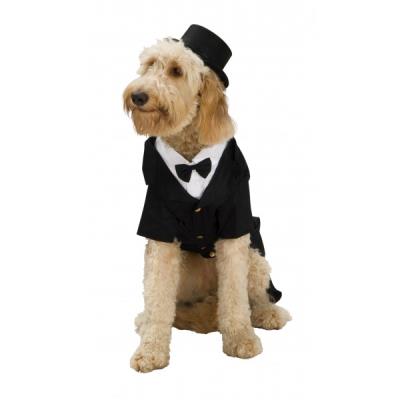 Costume de chien avec smoking - XL