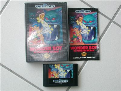 Wonder Boy in Monster World