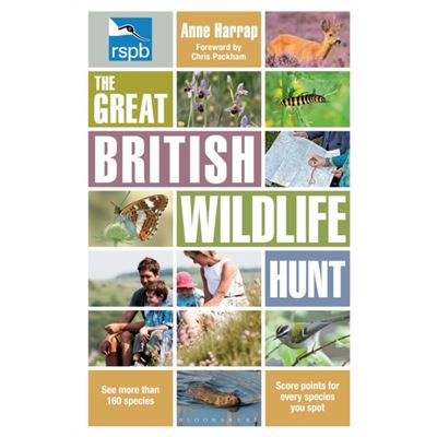 RSPB The Great British Wildlife Hunt
