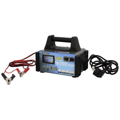 RING RECB312 Chargeur de Batterie 6/12 Volts - 12 Amp - 180 AH - 100% Automatique - Modèle Pro