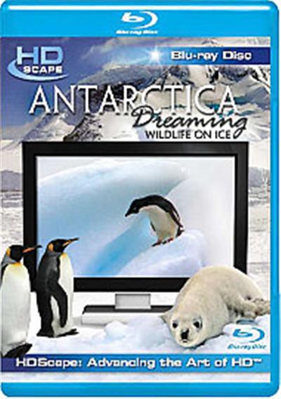 Antarctica Dreaming - Wildlife On Ice