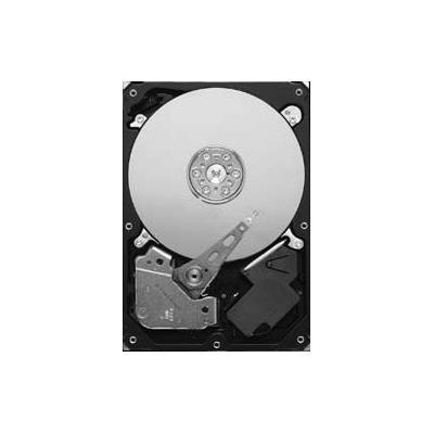 Seagate Pipeline HD ST3320311CS - disque dur - 320 Go - SATA 3Gb/s