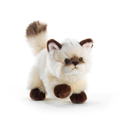 PLUSH&COMPANY - 15705 - PELUCHE - THAYTOO CHAT - 21 CM