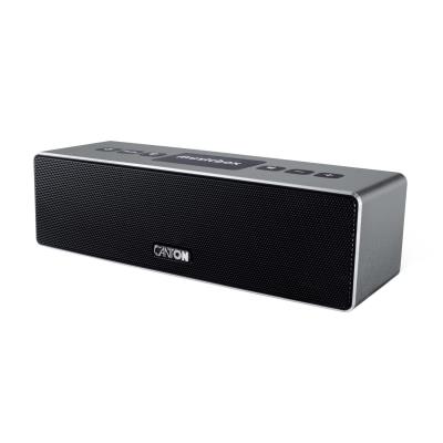 Enceinte nomade sans fil Bluetooth grise CANTON - MUSICBOX XS TTN