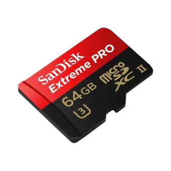 Carte Mémoire CompactFlash 64Go Extreme - Pour Photographes Et Vidéastes