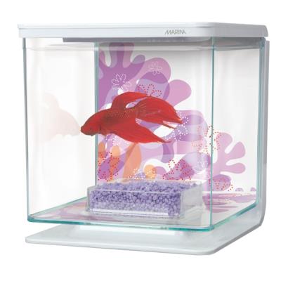 Aquarium équipé marina pour betta fleurs