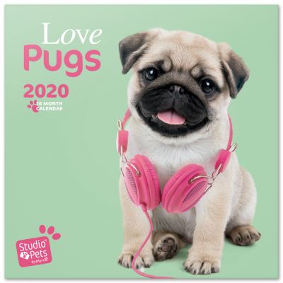 Calendrier 2020 30X30 Studio Pets Pugs