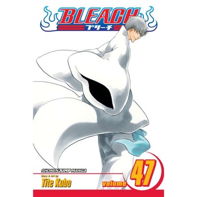 Bleach Volume 47 (Paperback)