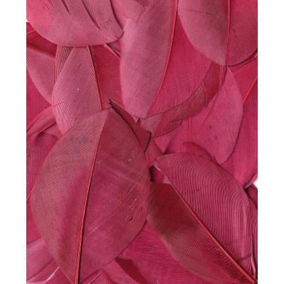Plumes - Bordeaux - Sachet de 3 g - Lissées - Lg 6 cm env.