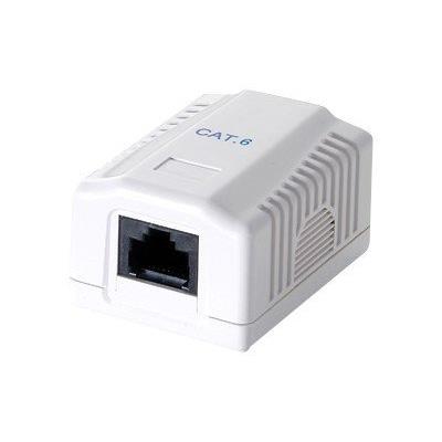 equip - Vlakke montagekast voor netwerk - RJ-45 - zuiver wit, RAL 9010
