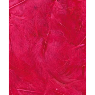 Plumes - Fuchsia 3 g - Ébouriffées - Lg 8 à 12 cm