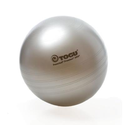 Togu balle de gymnastique power premium abs 65cm argent
