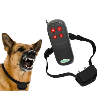 dressage de chien prix
