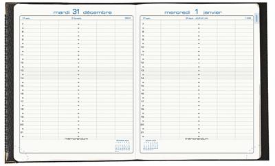 Exacompta - Agenda Journee Planifiee 22 22412