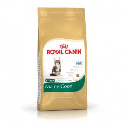Royal canin - maine coon kitten - 4 kg