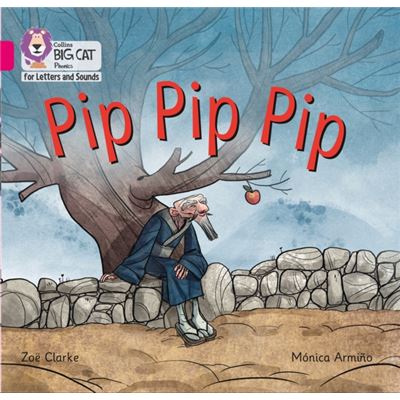 Big Cat Phonics Pip Pip Pip