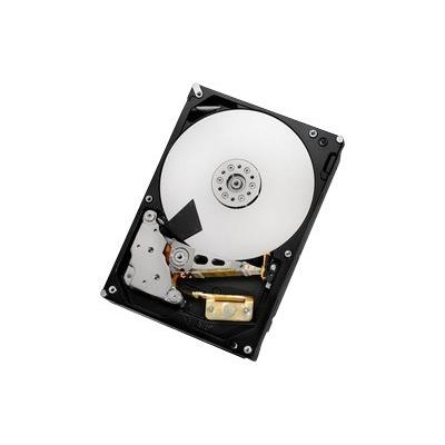 HGST Ultrastar 7K3000 HUA723020ALA641 - vaste schijf - 2 TB - SATA 6Gb/s