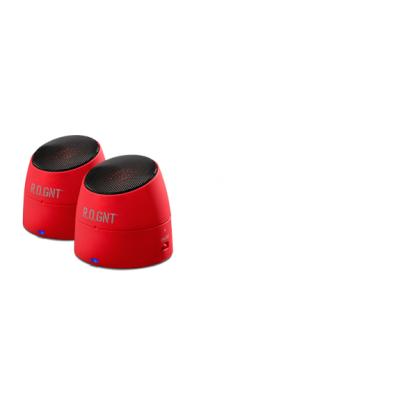 R.O.GNT 0002-21 Enceinte portable, ,FM, Radio, pour lecteur MP3, MP4 ,Ipod, Telephone mobile, ordinateur, Smartphone,Iphone et tablette .