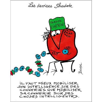 Affiche 24x30 cm Il vaut mieux mobiliser son intelligence...