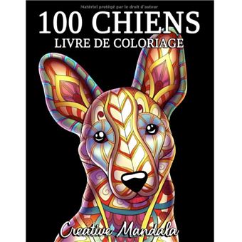 100 Maisons et Intérieurs - livre de coloriage pour adultes NLFBP