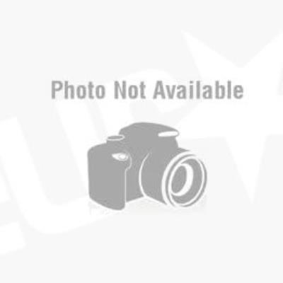 HPE Dual Port - Vaste schijf - 300 GB - 15000 tpm